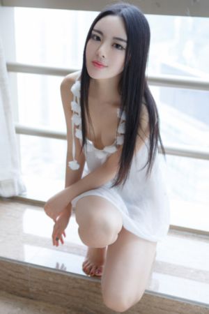 兽兵卫忍风贴_720免费在线播放